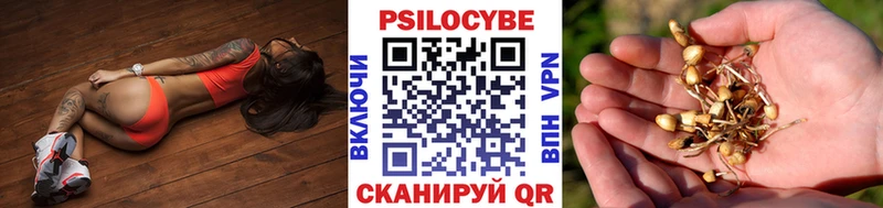 нарко площадка состав  Балей  Псилоцибиновые грибы GOLDEN TEACHER 